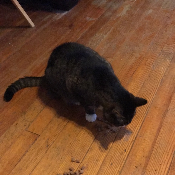 Meet your Posher, Johanna - Picture 1 of 1